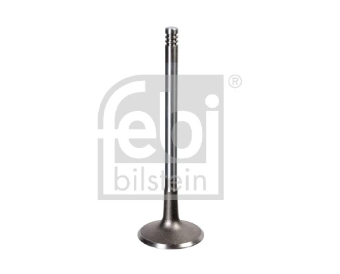 Intake Valve